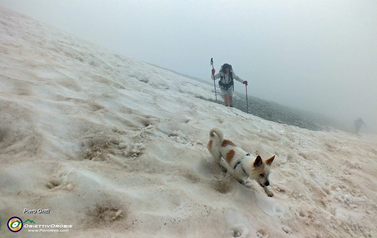 56 ...sul ghiaione ancora innevato .JPG